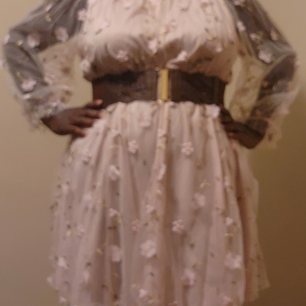 Mesh Dress w Flowers